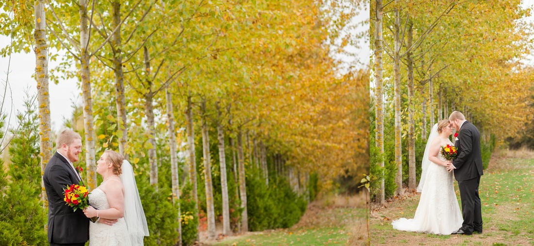 Green Villa Barn Wedding, Independence Oregon | Hillsboro Wedding Photographer