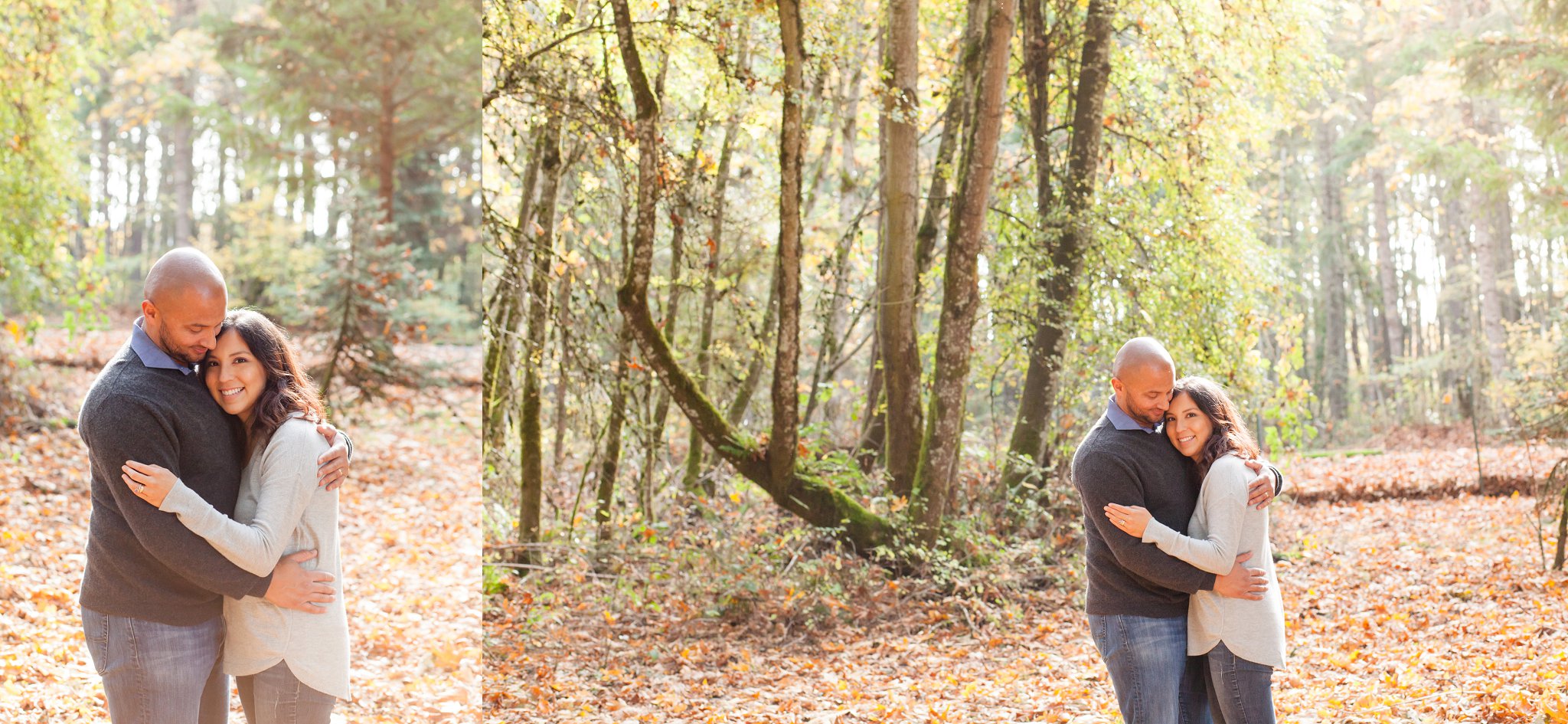 Jenkins Estate fall Family Photo Session with a dog | Hillsboro, OR Family Photographer