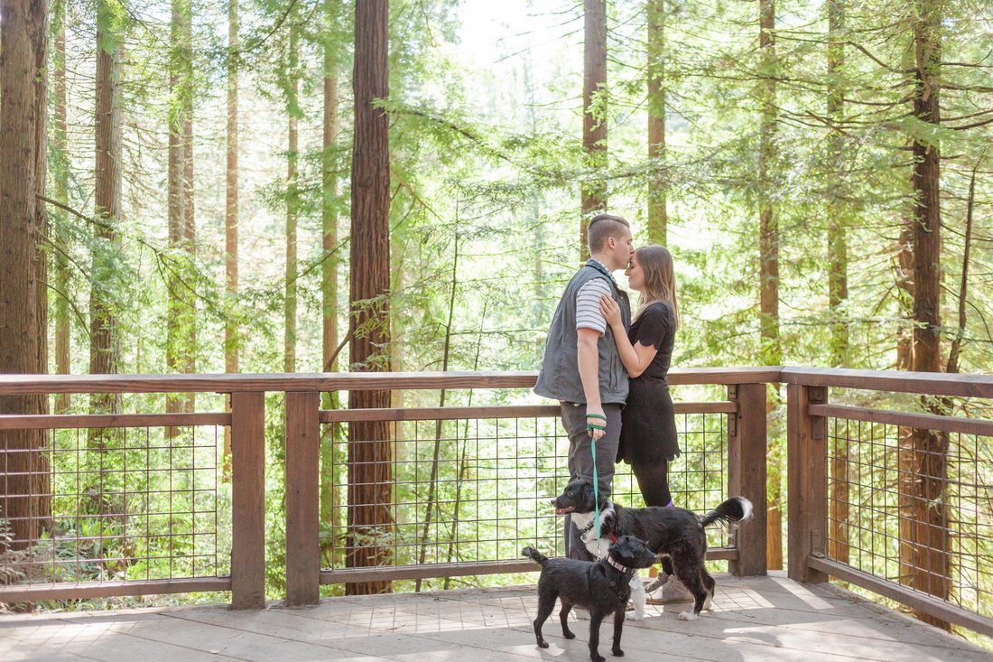 Redwood Deck Engagement Session with Dogs | Hillsboro and Newberg Wedding Photographer