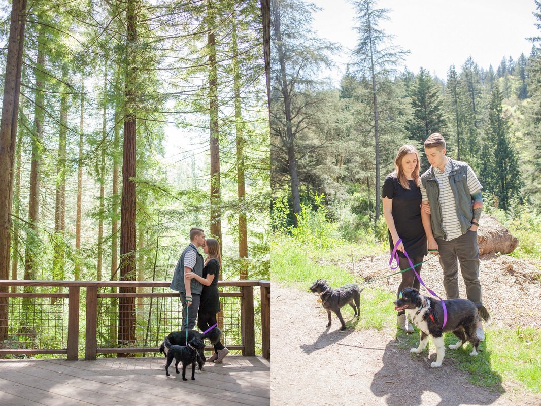 Redwood Deck Engagement Session with Dogs | Hillsboro and Newberg Wedding Photographer