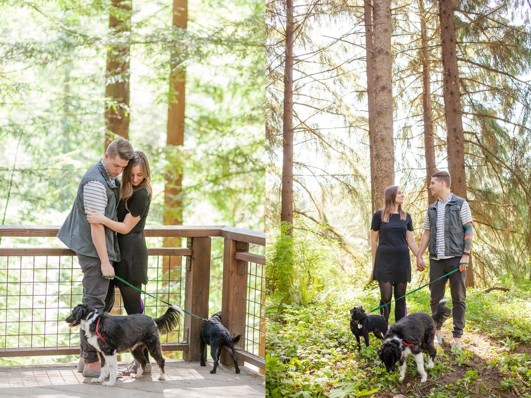 Redwood Deck Engagement Session with Dogs | Hillsboro and Newberg Wedding Photographer