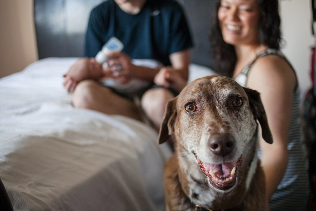 Family session at home in Hillsboro | Newberg and Hillsboro family photographer