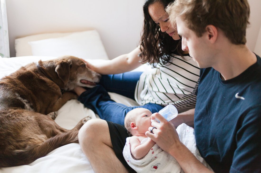 Family session at home in Hillsboro | Newberg and Hillsboro family photographer