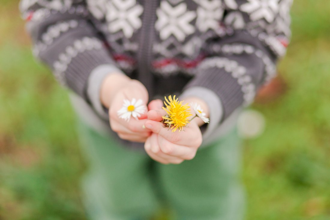 hike it baby in Yamhill County | Newberg and Hillsboro family photographer