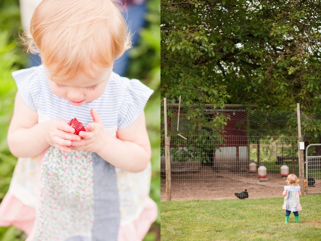 Berry Picking at Smith Berry Barn | Newberg and Hillsboro family photographer