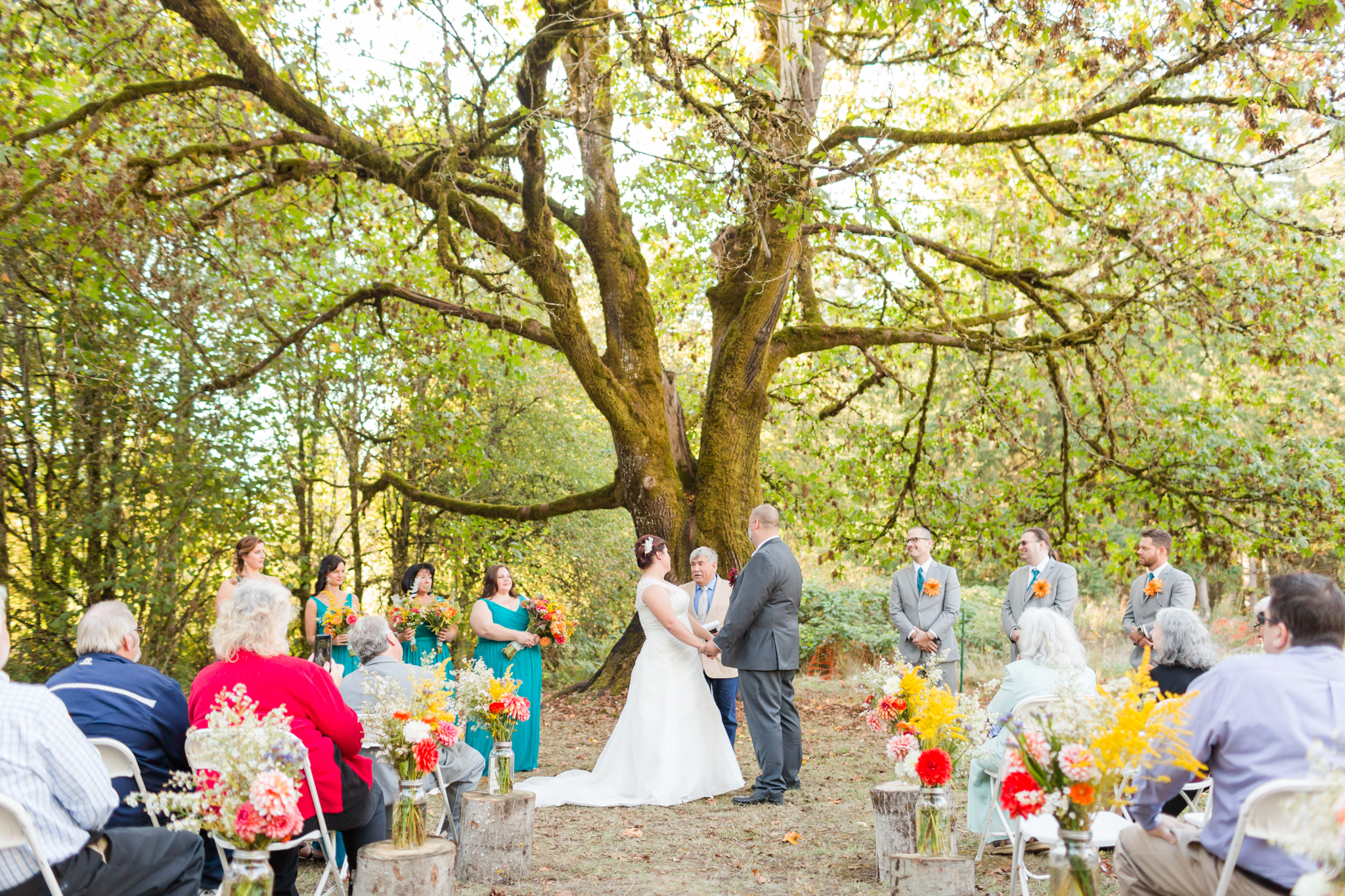 Champoeg State Park wedding under an oak tree in Newberg - Hillsboro wedding photographer