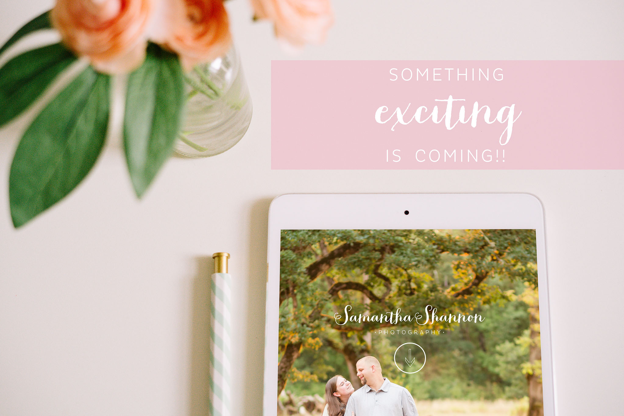 Hillsboro wedding photographer website launch