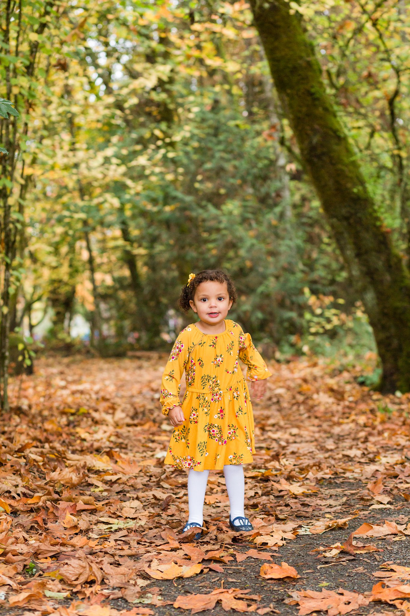 Family photo session at Cook Park in Tigard with fall leaves | Hillsboro family photographer