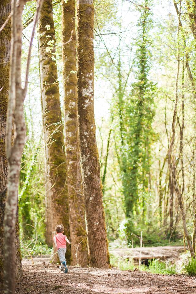 ewing young hike in newberg, oregon - best family friendly hikes in yamhill county