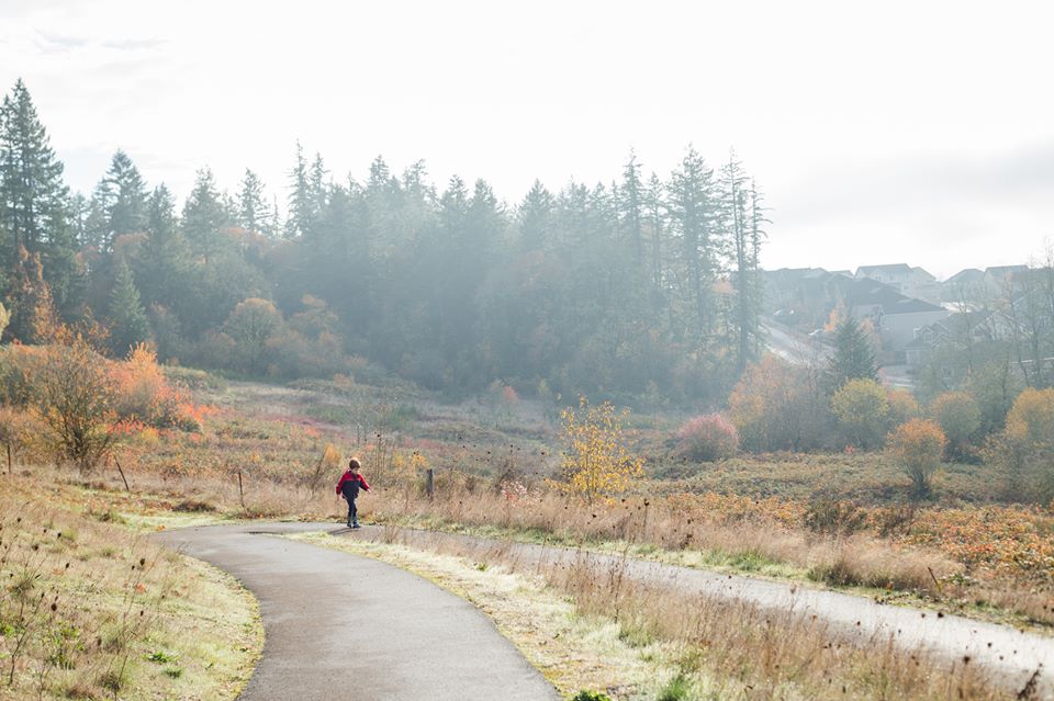 Schaad Park family friendly hike in Yamhill County