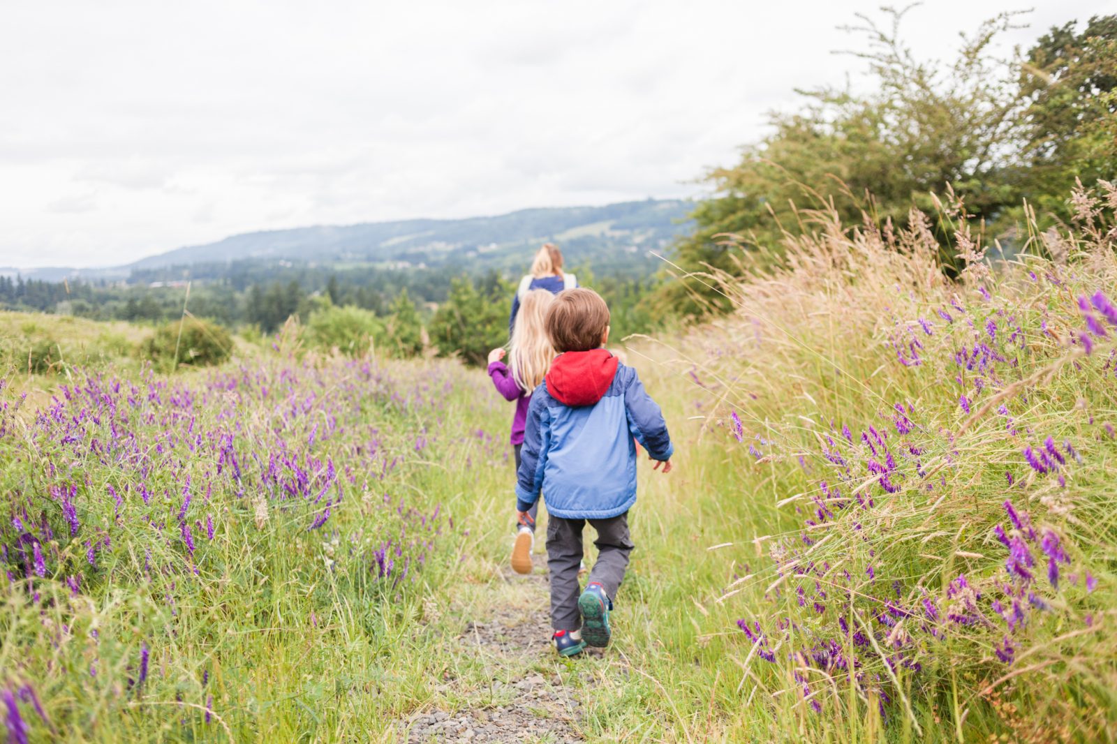 Yamhill county family friendly hike at Schaad Park field in Newberg