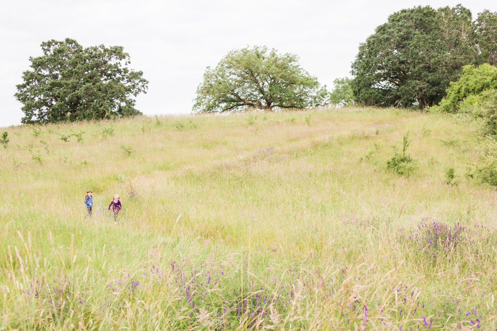 Yamhill county family friendly hike at Schaad Park field in Newberg