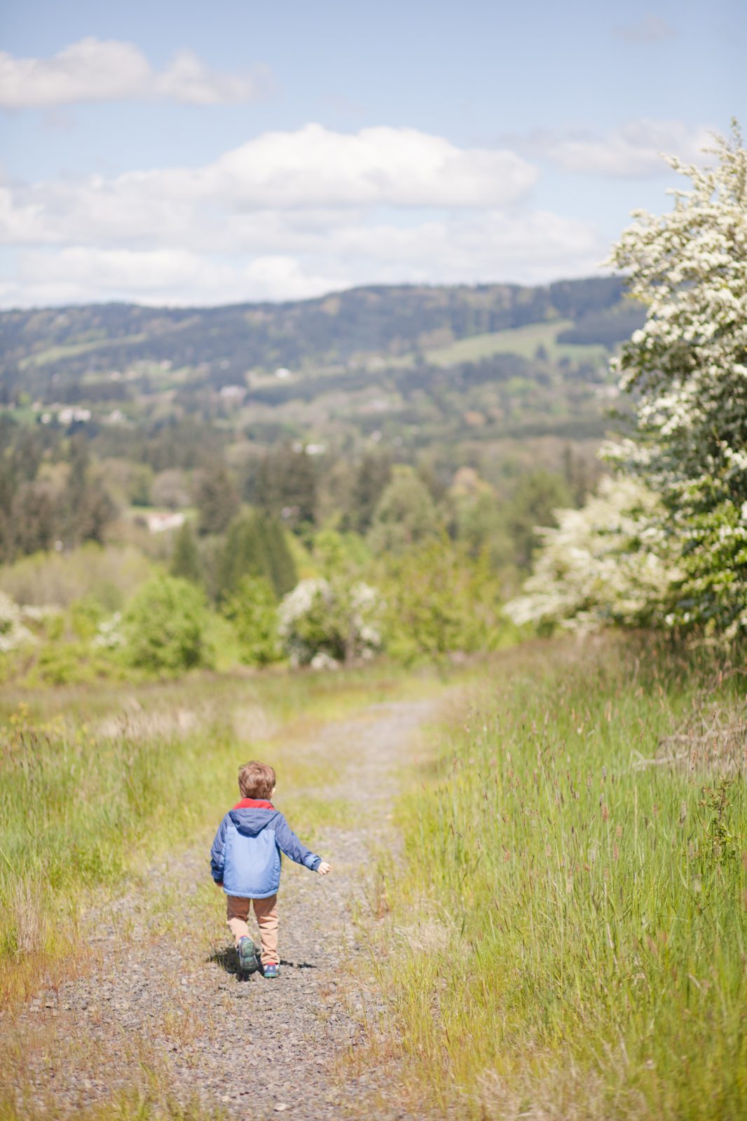 Yamhill county family friendly hike at Schaad Park field in Newberg