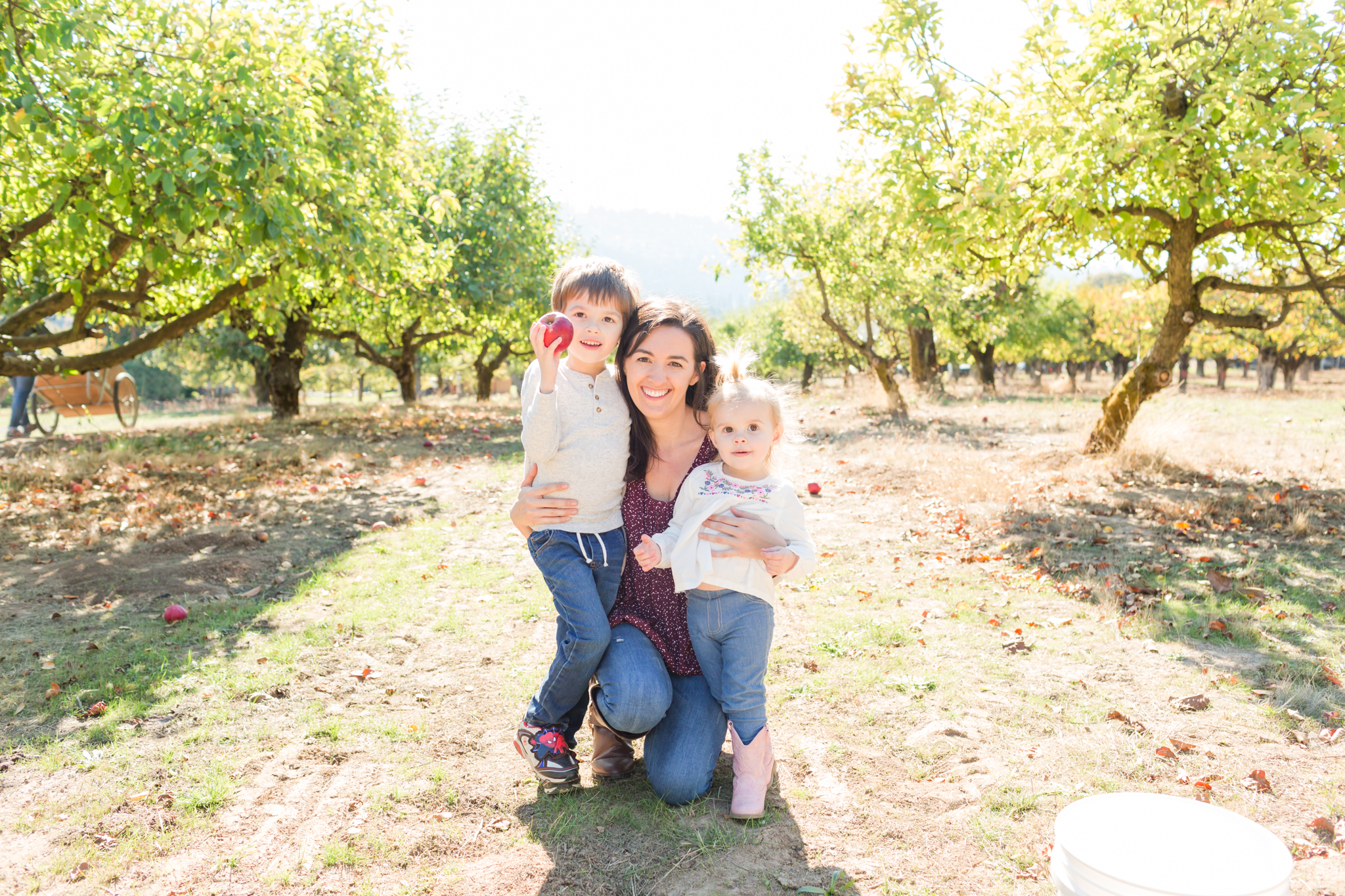 Sherwood Orchards Apple U-Pick