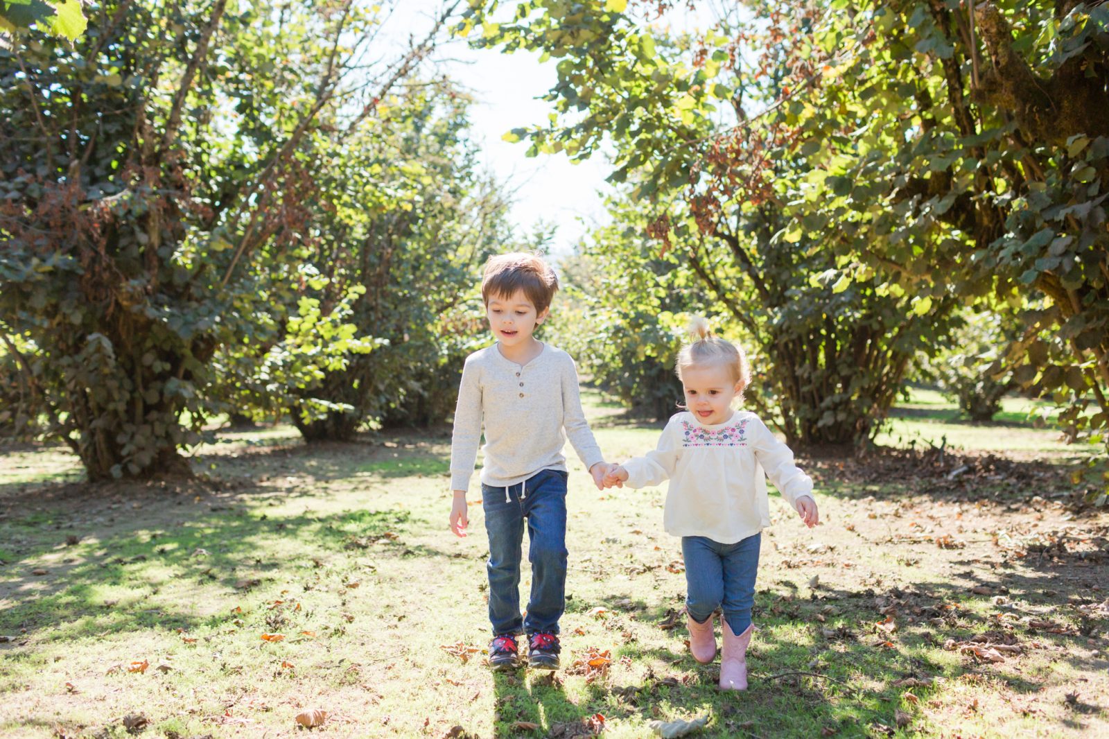 Sherwood Orchards Apple U-Pick