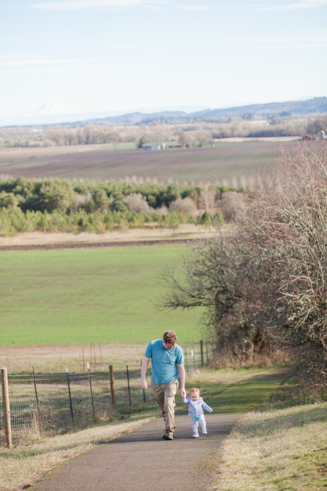 Erratic Rock family friendly hike in Yamhill county near McMinnville, Oregon