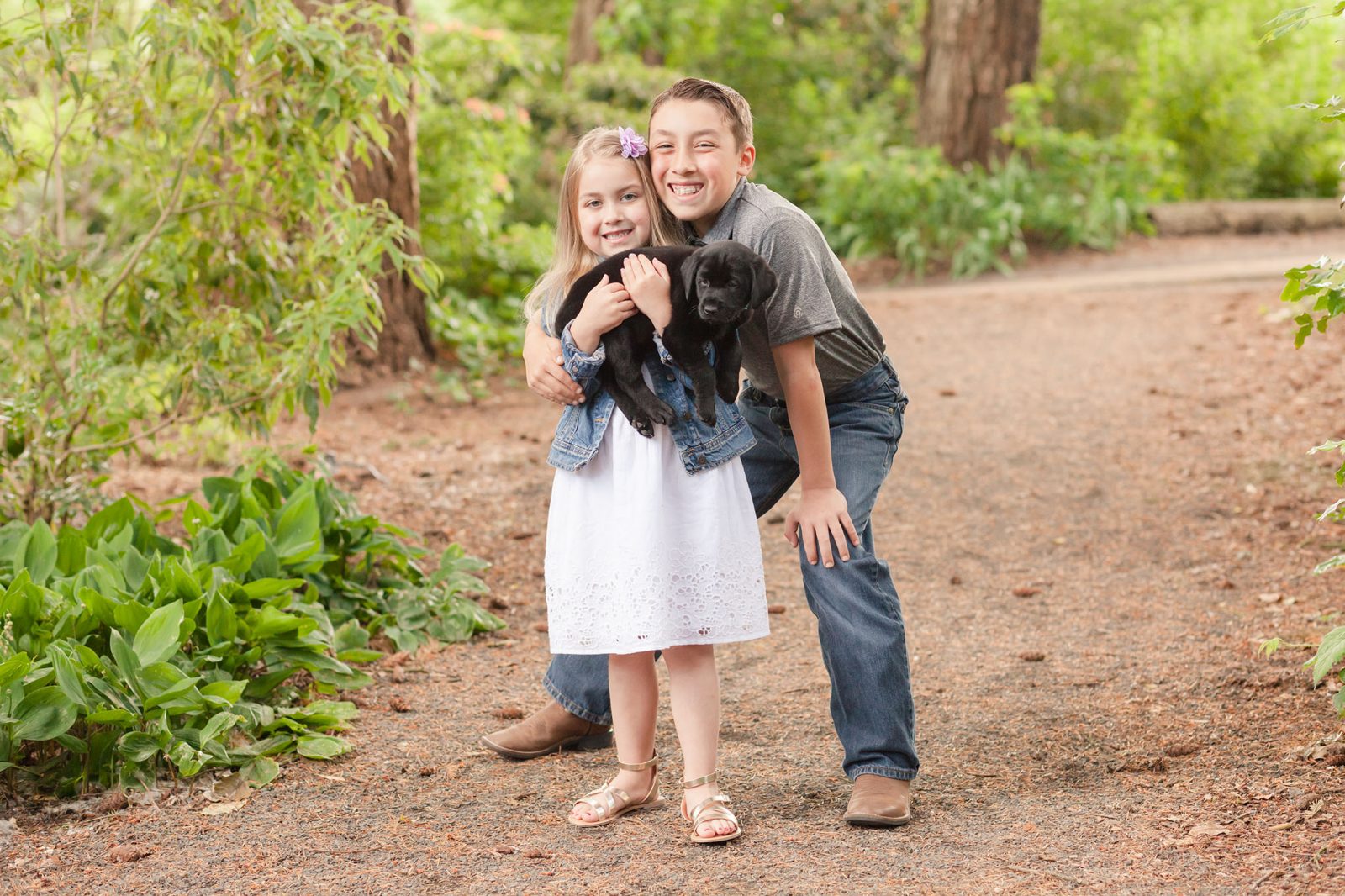 puppy at a family photo session in Hillsboro Oregon