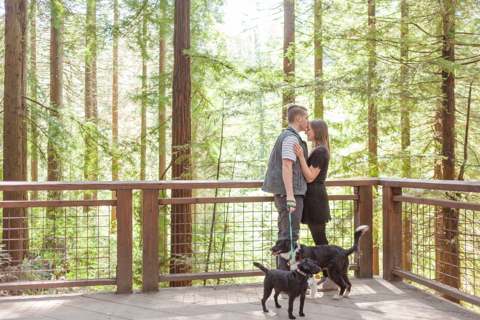 Engagement session with dogs in Portland Oregon