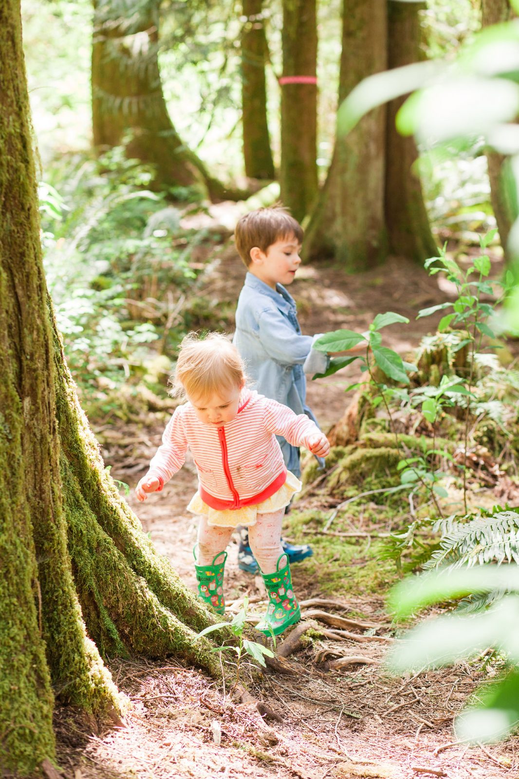 magness tree farm hike in sherwood oregon - hillsboro family photographer