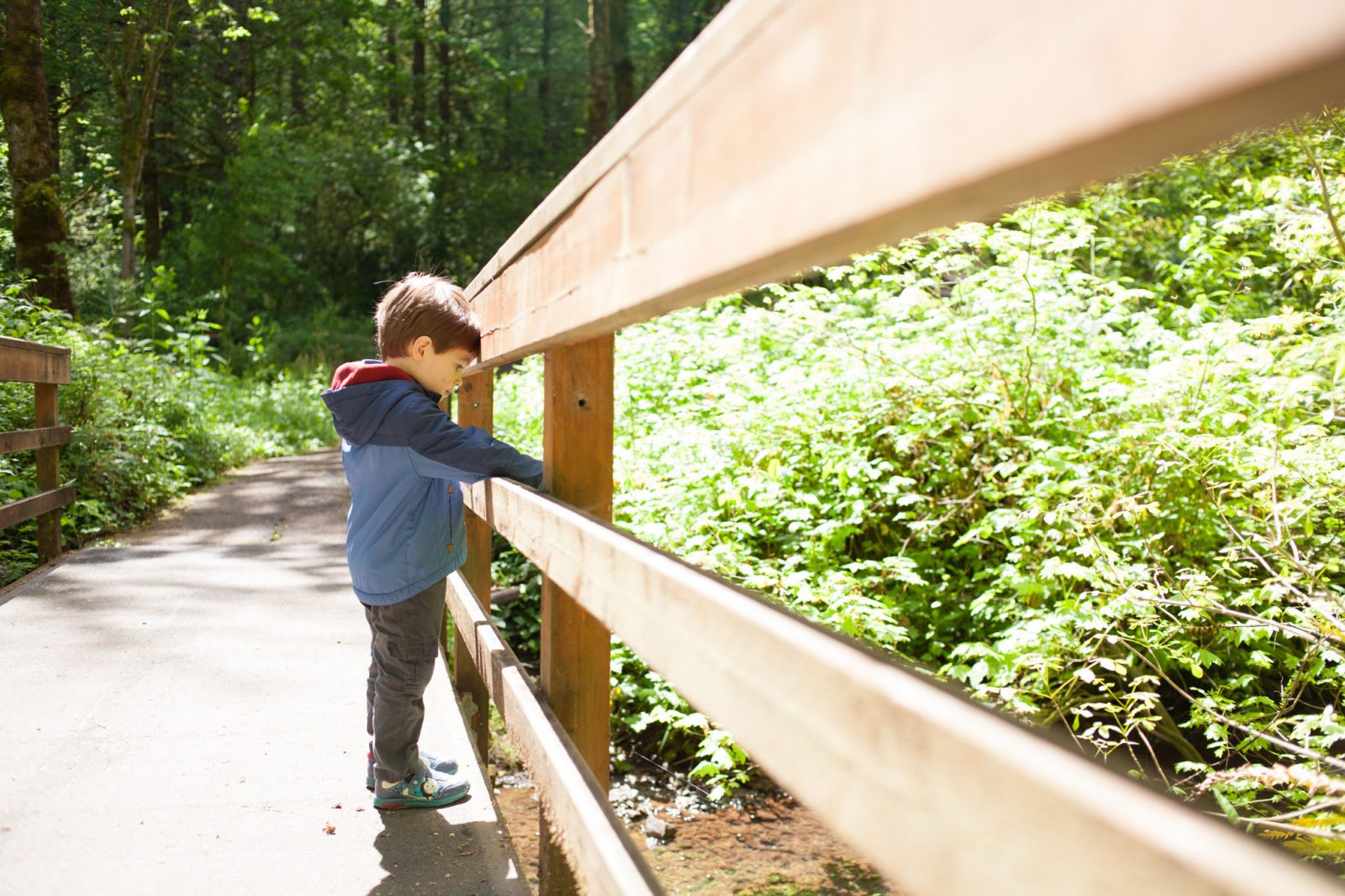 magness tree farm hike in sherwood oregon - hillsboro family photographer