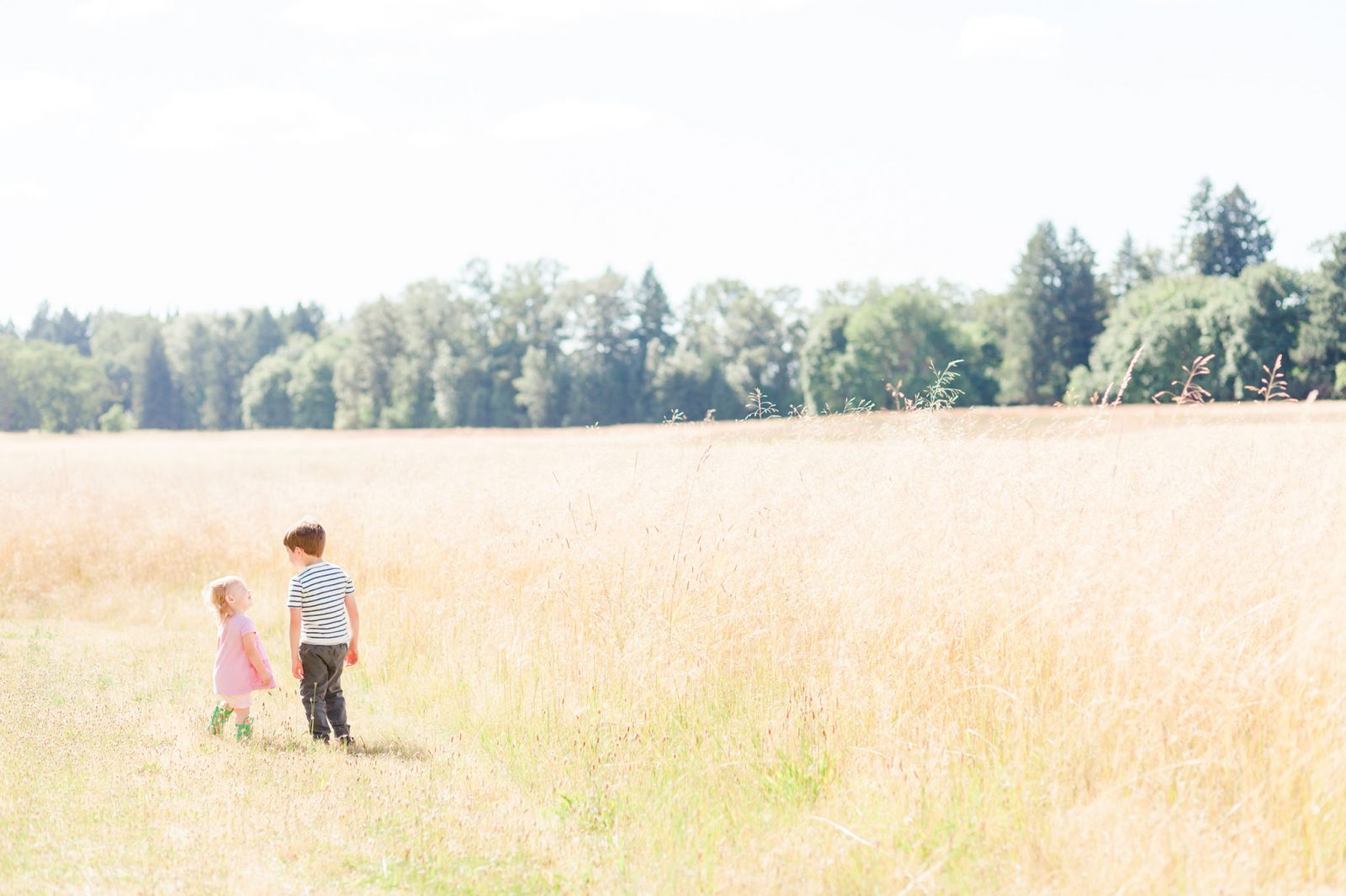 townsite trail hike in newberg oregon at champoeg