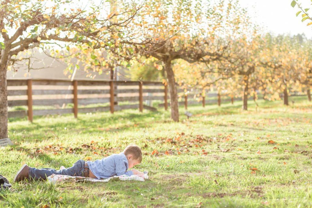 fall family pictures in an orchard near hillsboro, oregon