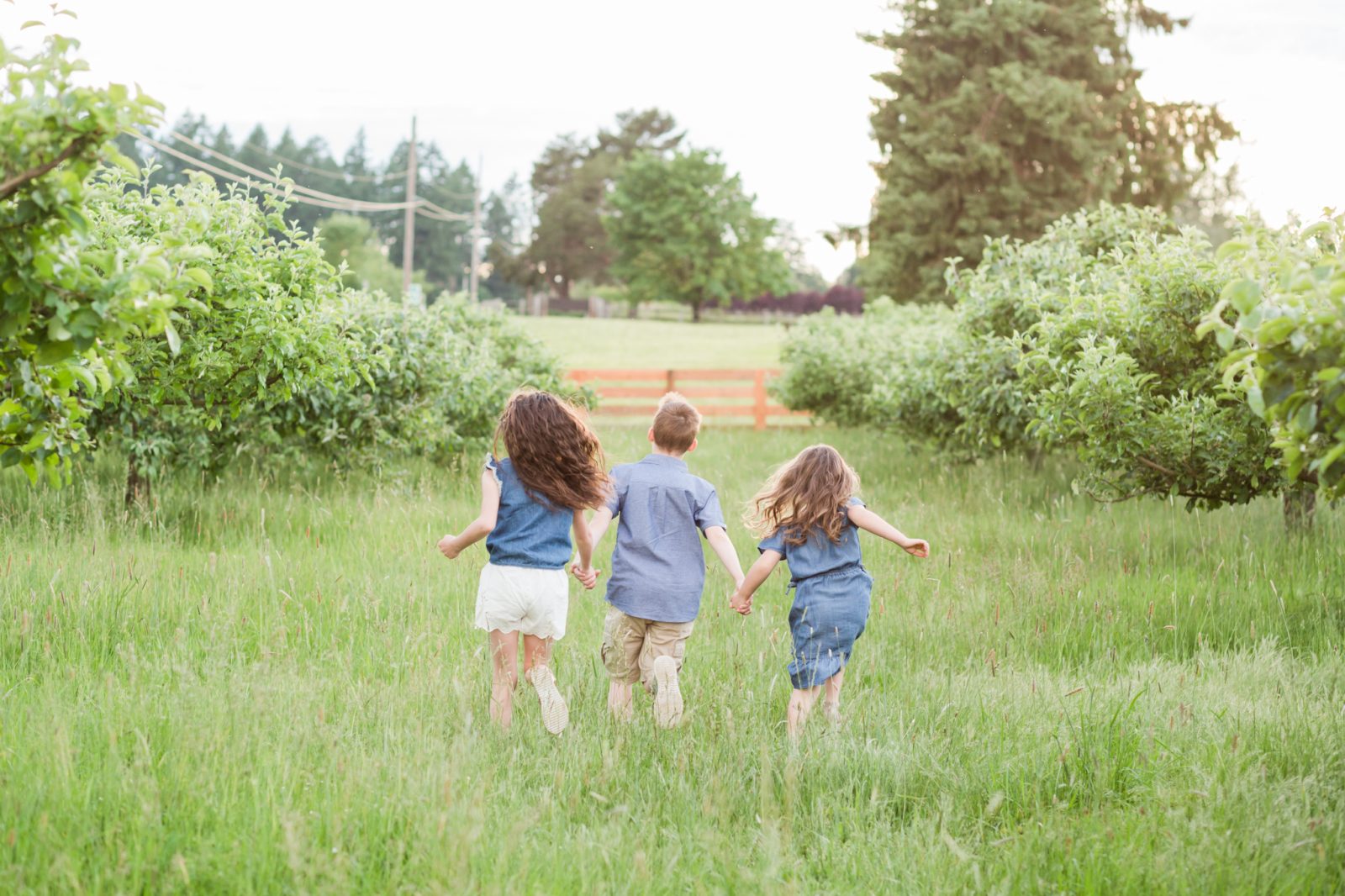 kids in a field at hillsboro oregon family photo session