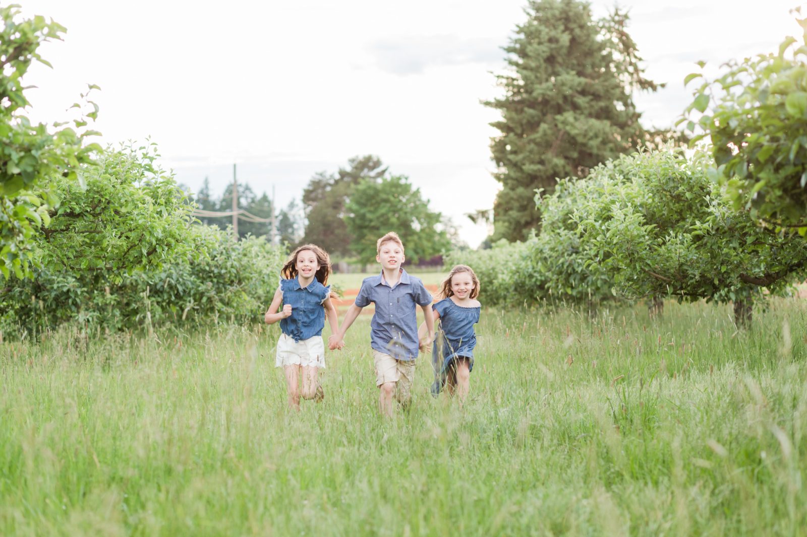 kids in a field at hillsboro oregon family photo session