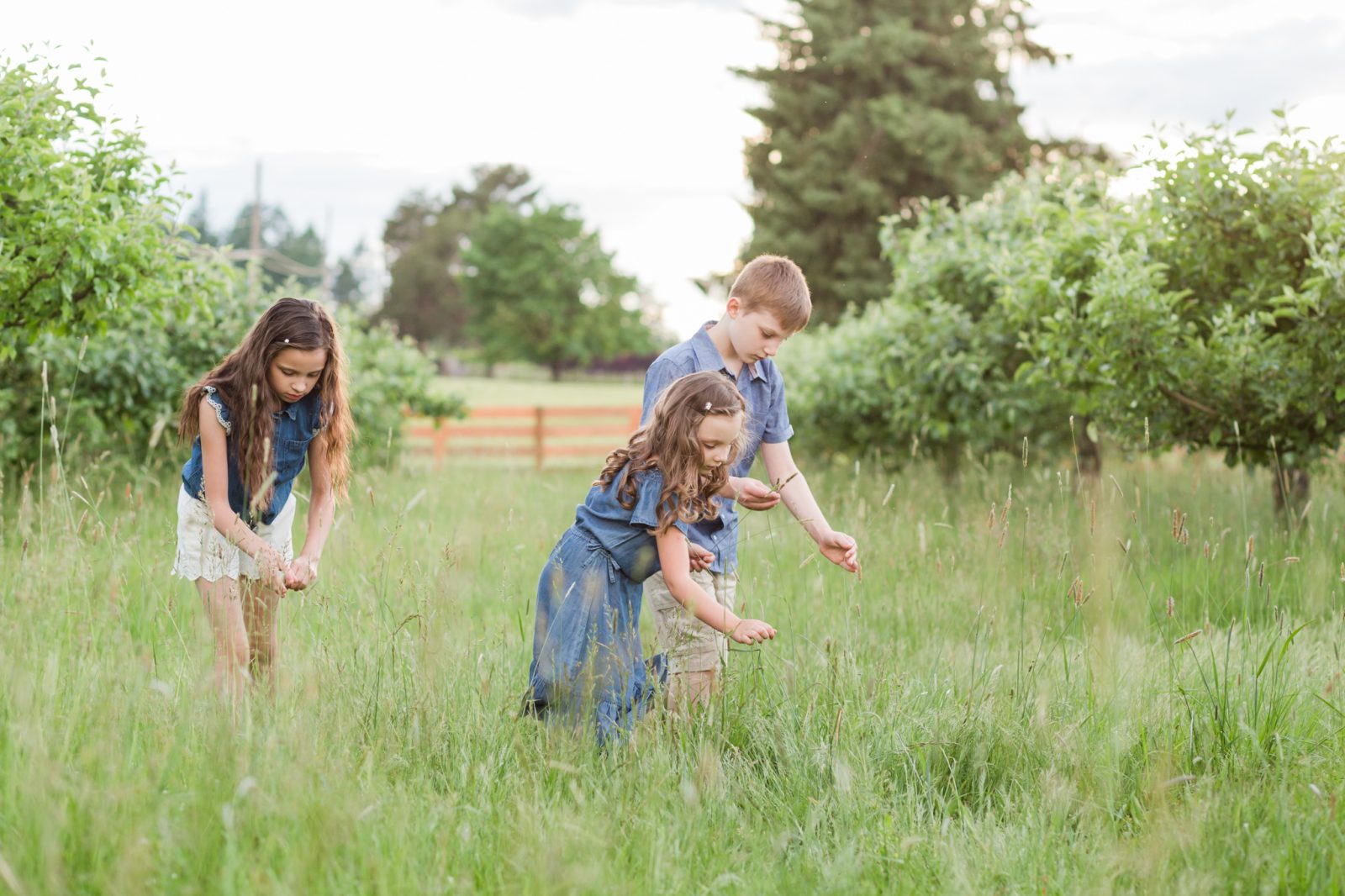 kids in a field at hillsboro oregon family photo session