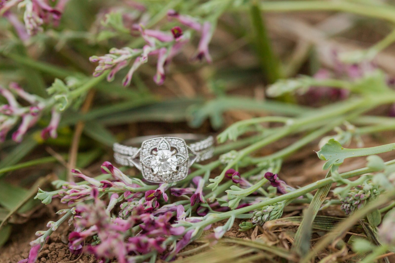 purple flower ring photo mcminnville wedding photographer