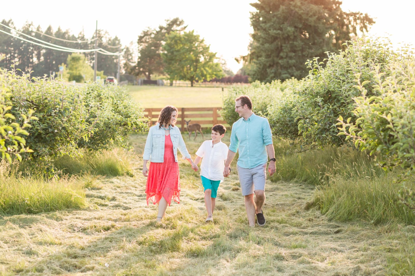 family pictures in the orchard in newberg, oregon - hillsboro family photographer