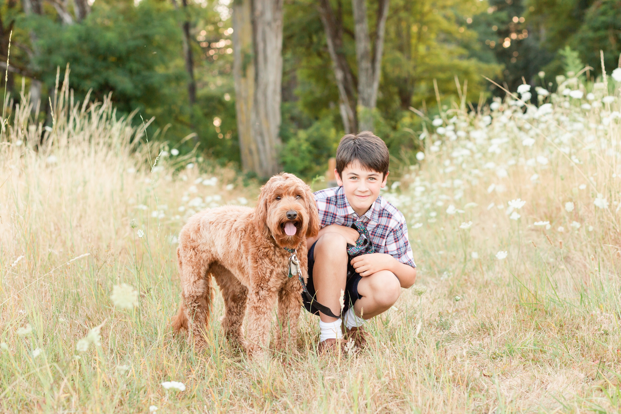 light and airy hillsboro family photos with a dog