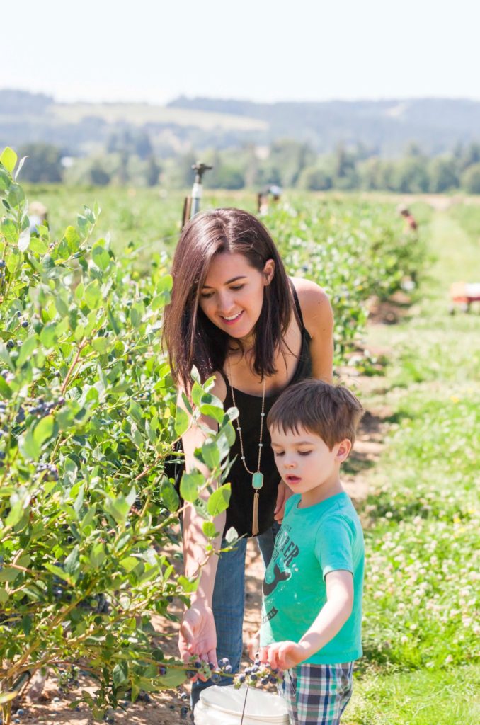 hoffman farms berry picking in portland