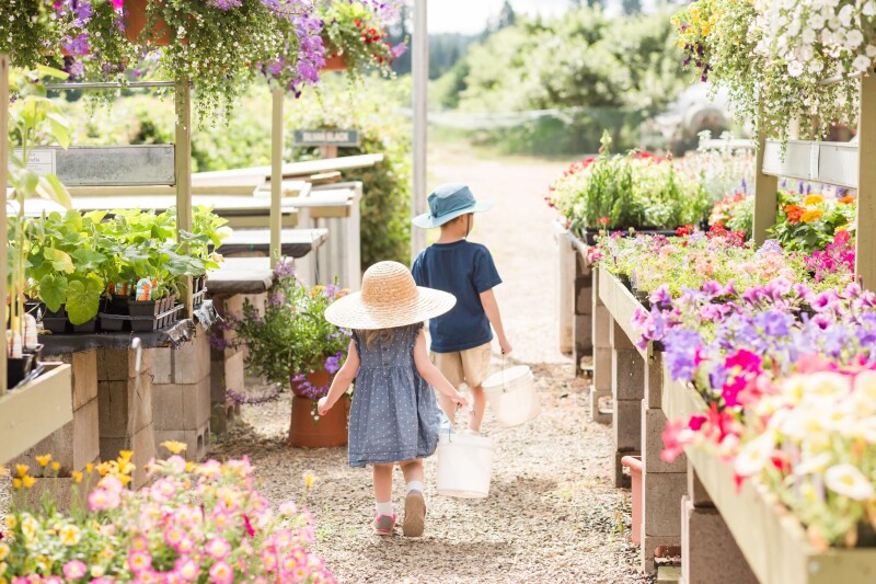 berry picking in portland at smith berry barn: things to do in portland with kids