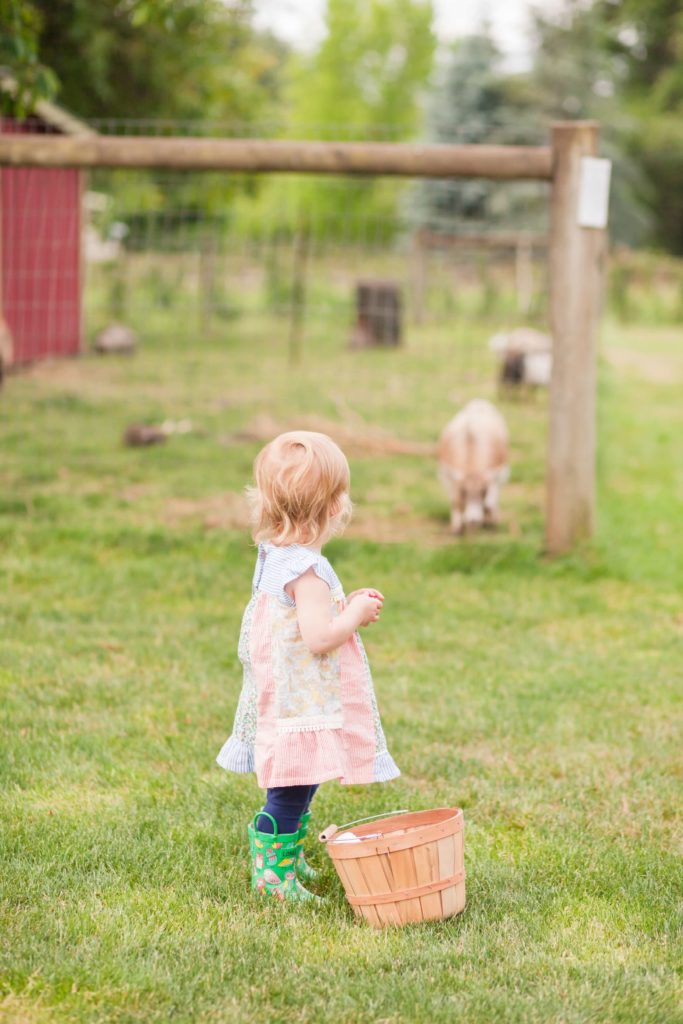 berry picking portland