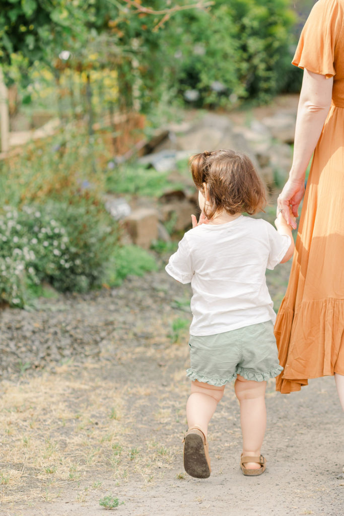 little girl holds mom's hand while exploring the luscher farm clematis garden in lake oswego