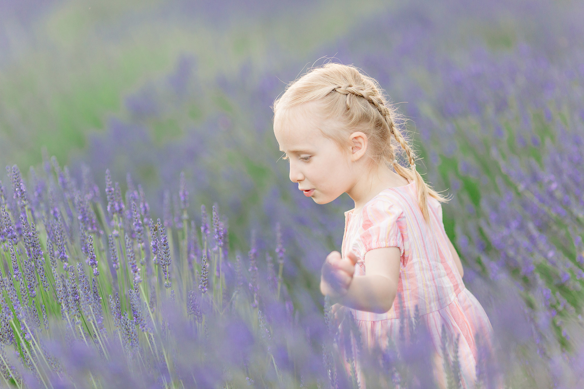 Girl in lavender field - Milestone photographer in Portland