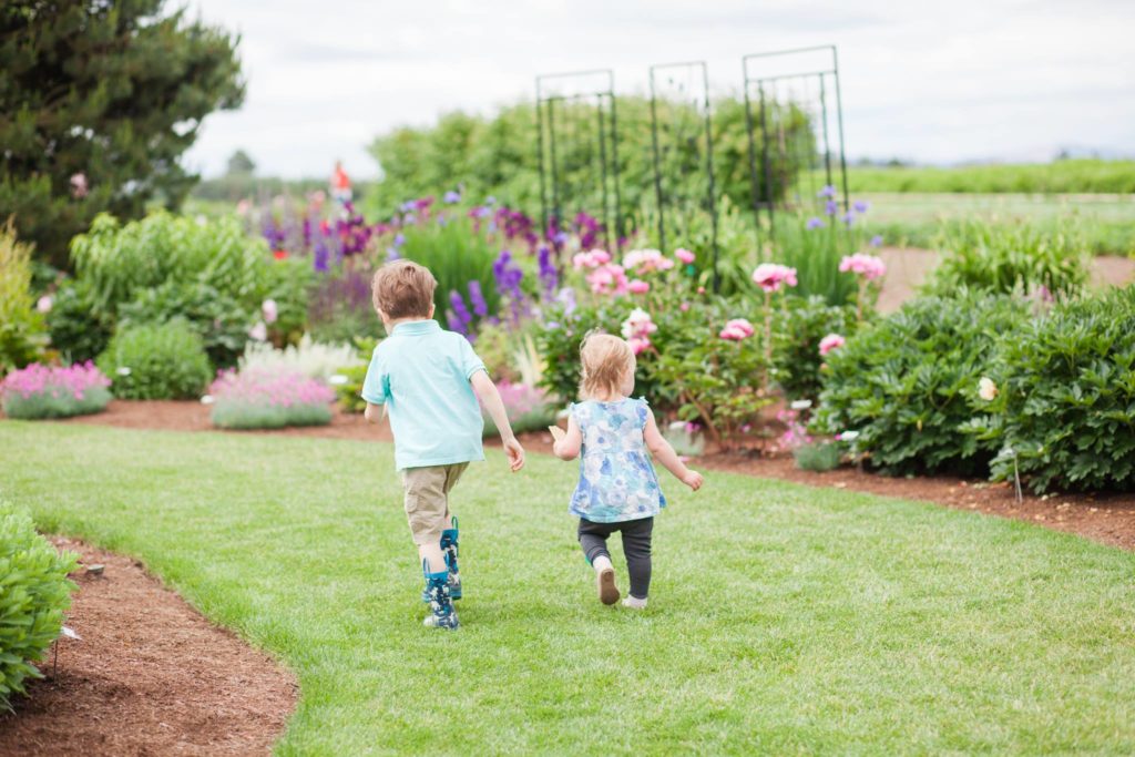 children walking through display garden at adelman peony farm, a flower field near portland oregon