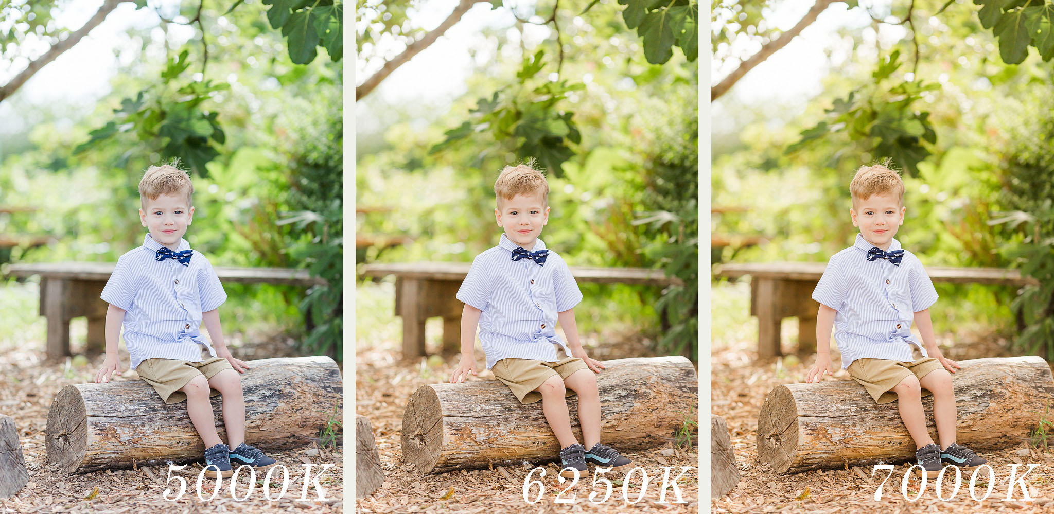 comparison example of kelvin white balance