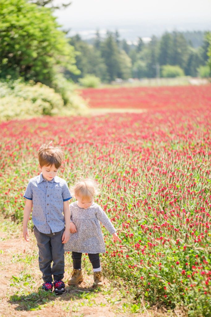 children walk through a field of crimson in a wild flower fields near portland oregon