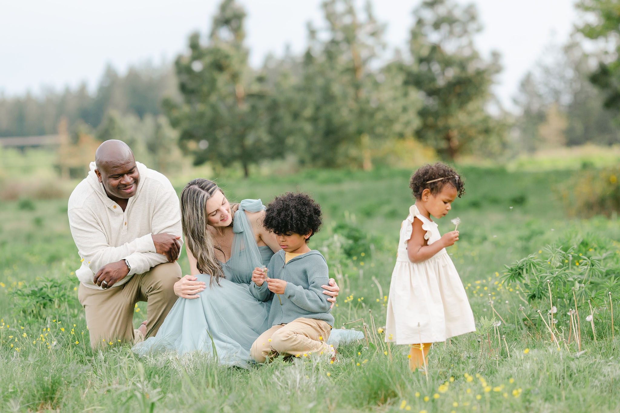 outdoor family portraits with a family of four in a field